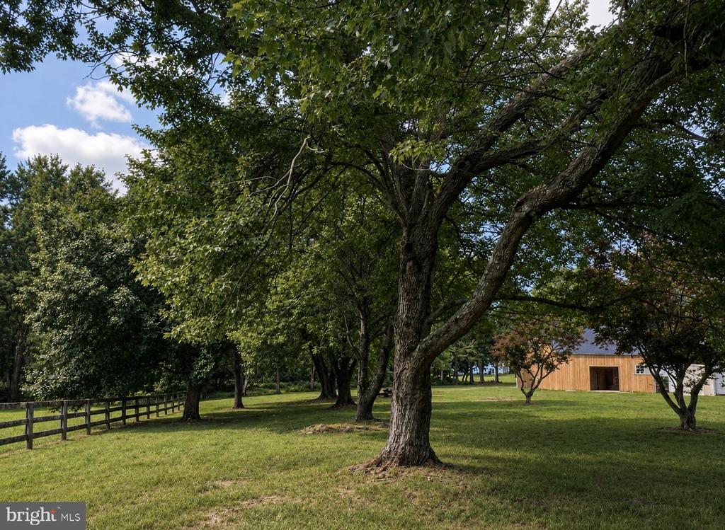 20103 SHELBURNE GLEBE ROAD