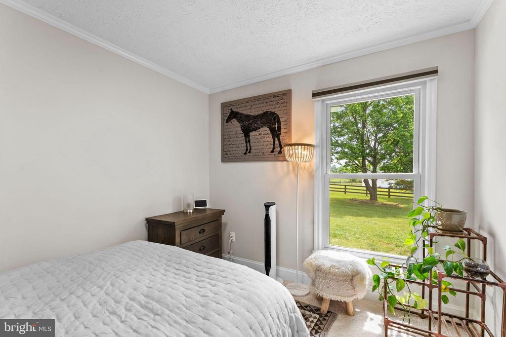 20103 SHELBURNE GLEBE ROAD