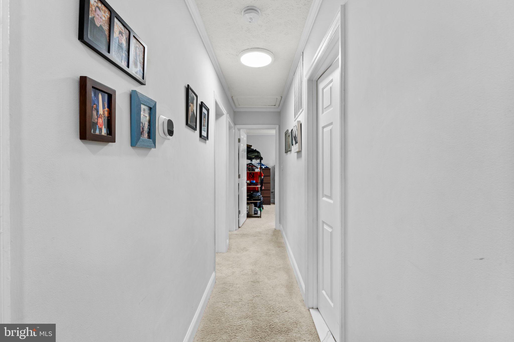 20103 SHELBURNE GLEBE ROAD