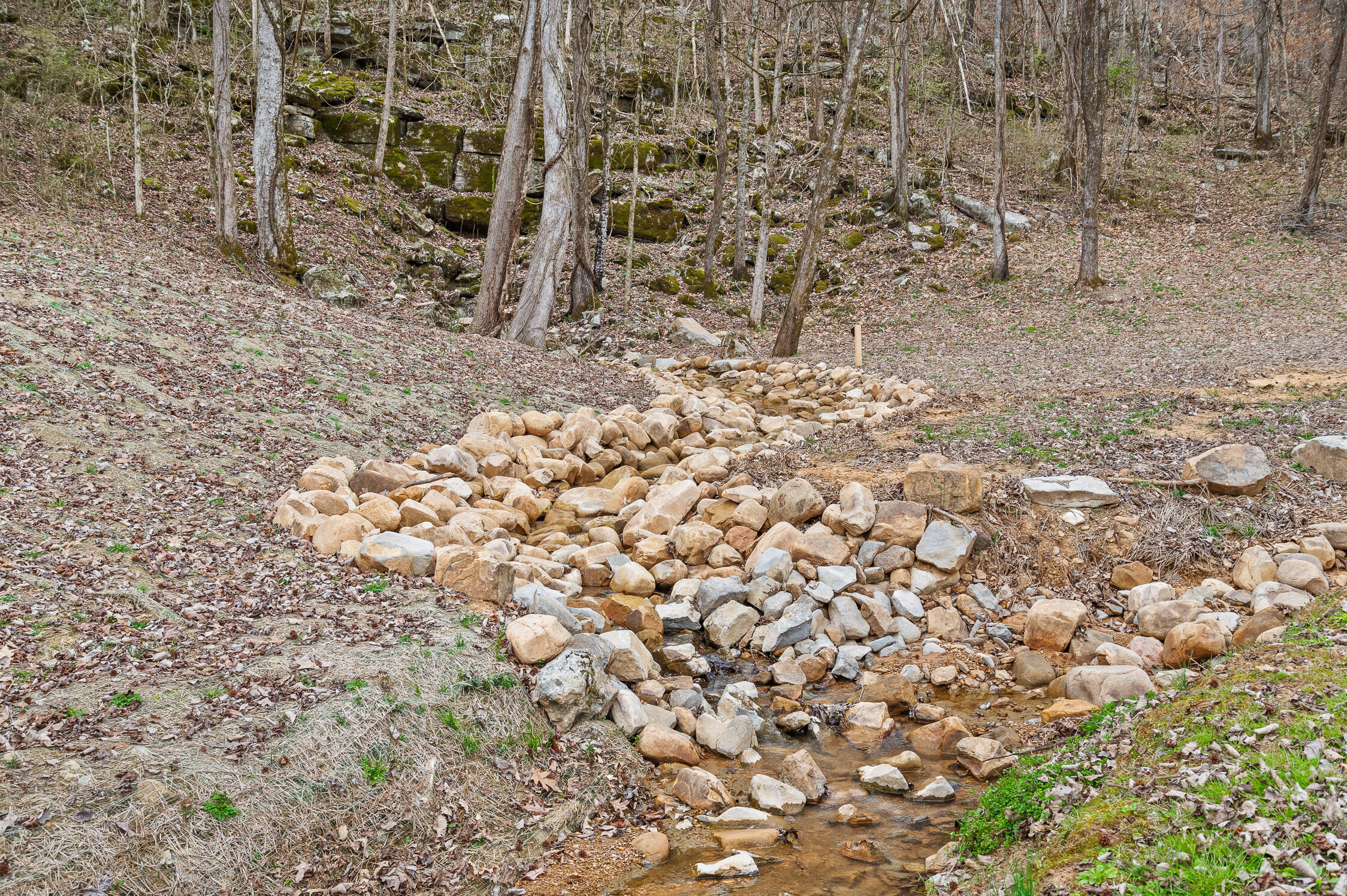 848 Back Valley Road