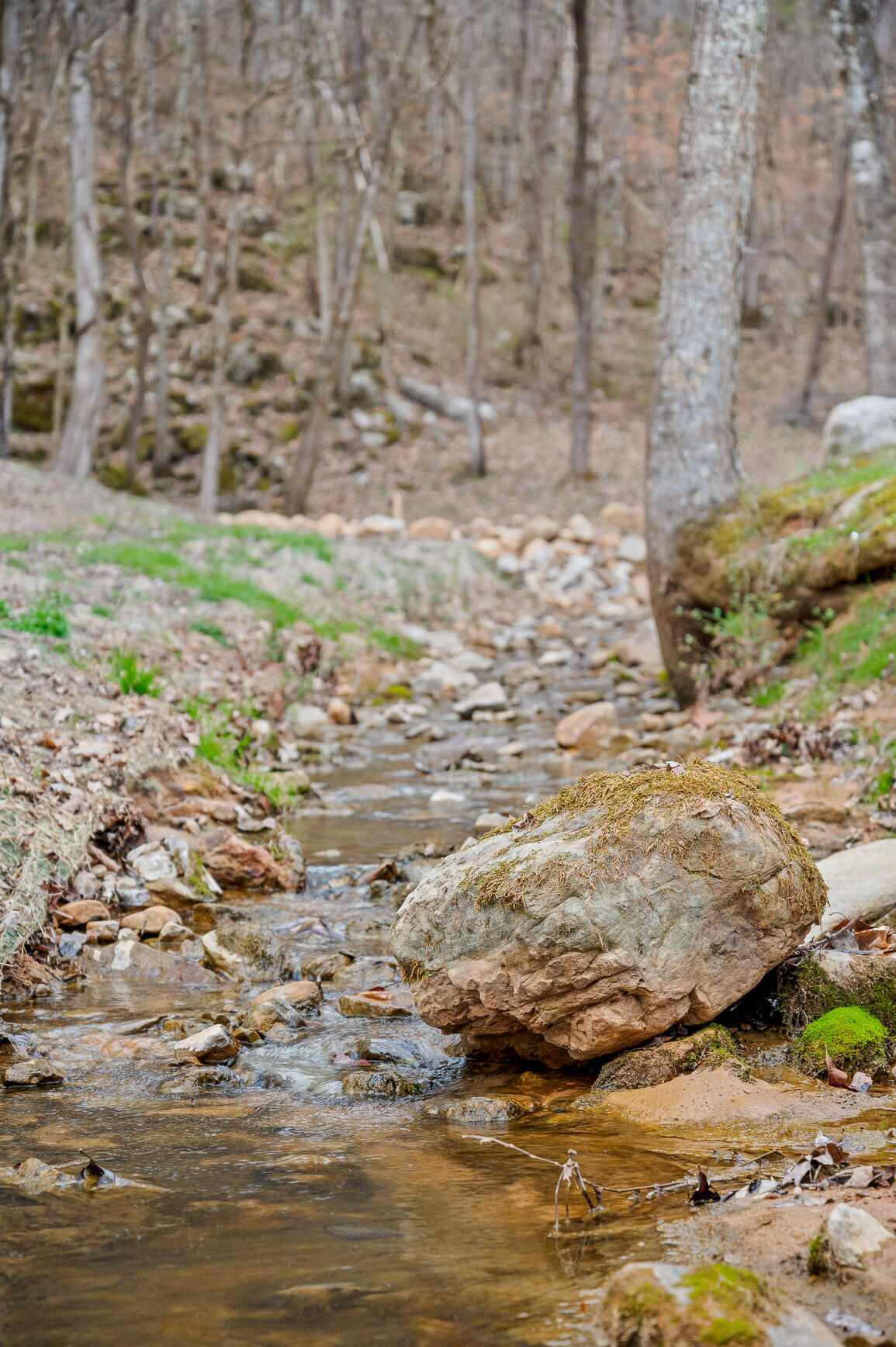 848 Back Valley Road