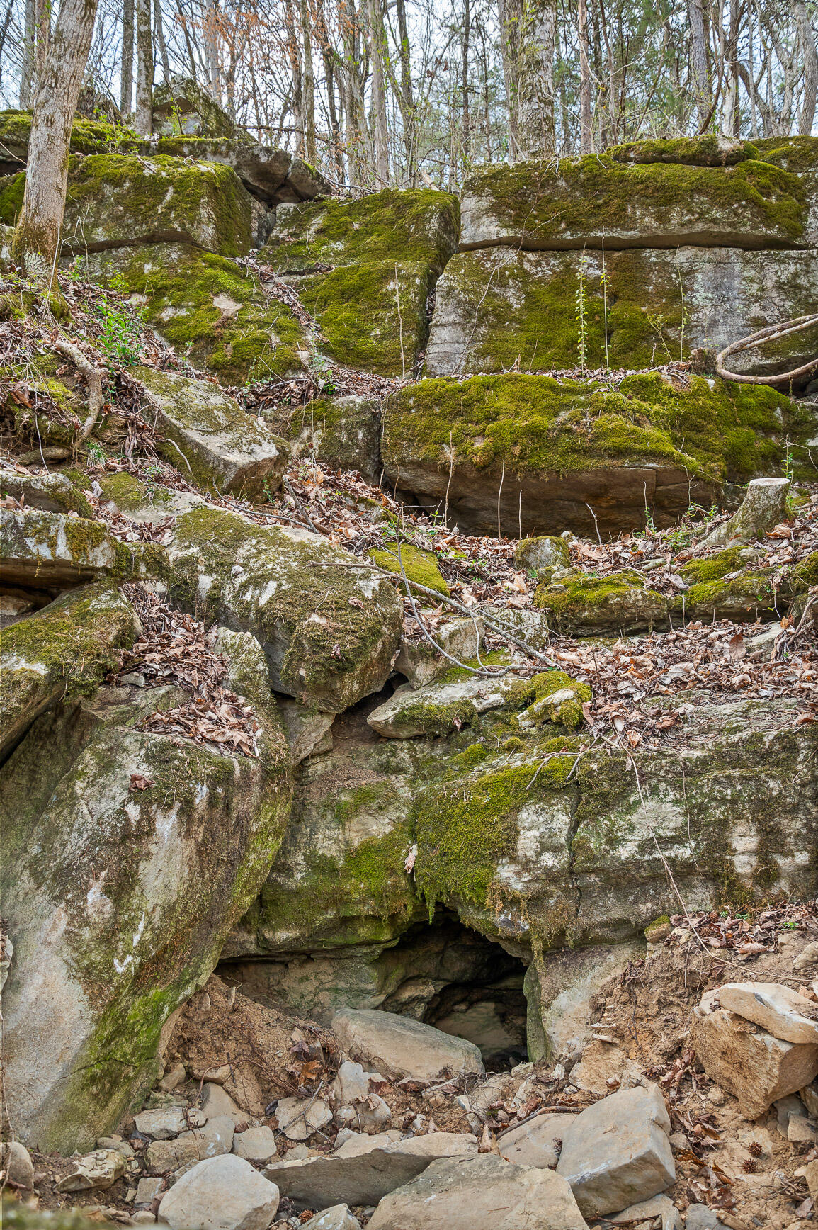 848 Back Valley Road