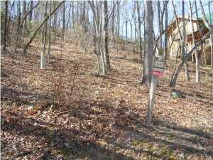 147 Eagle Creek Trail