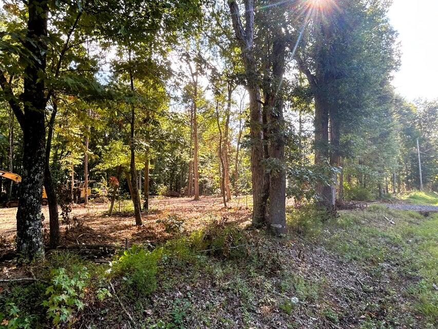Tract 3 Pleasant Hill Road