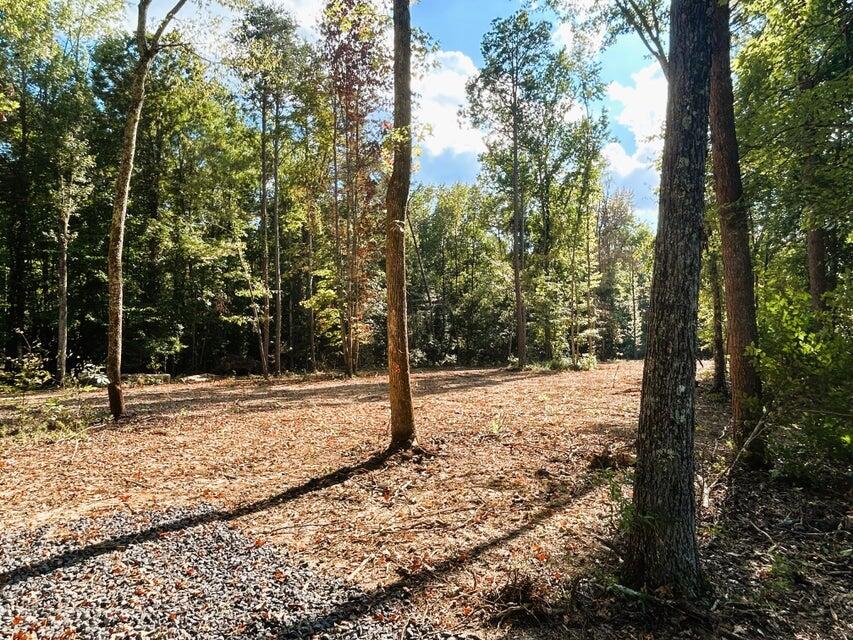 Tract 3 Pleasant Hill Road