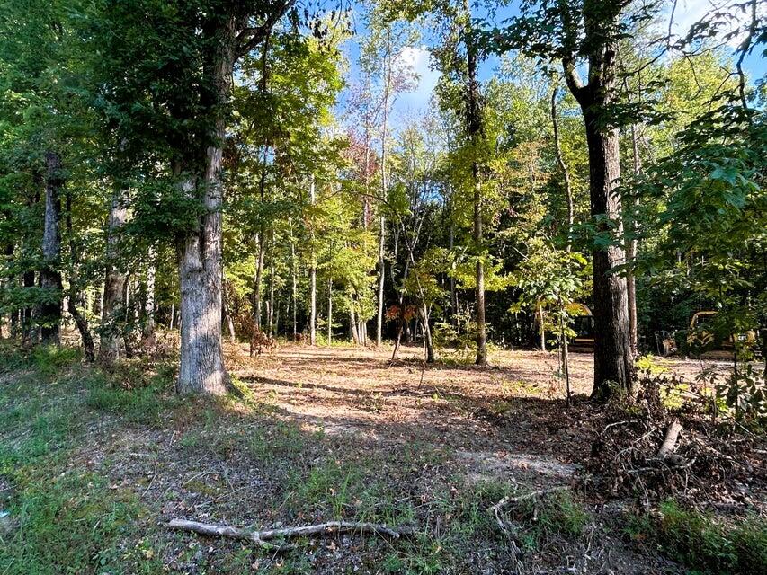 Tract 3 Pleasant Hill Road