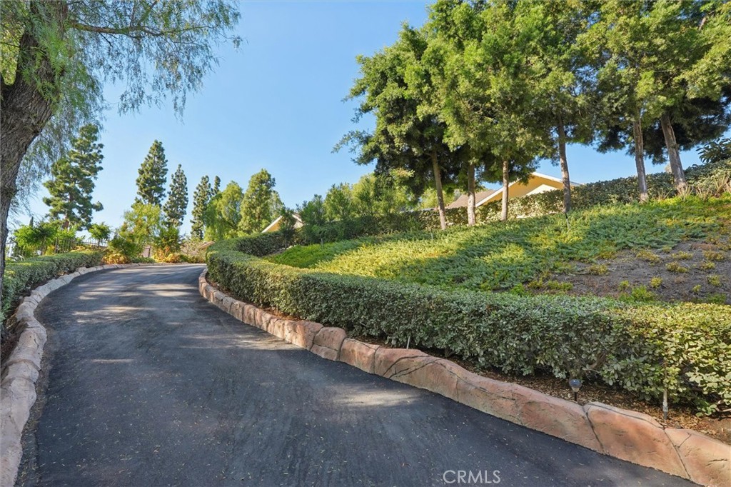 941 Laguna Drive