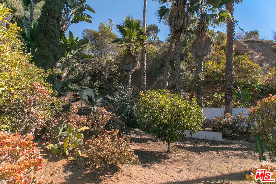 2430 Coldwater Canyon Drive