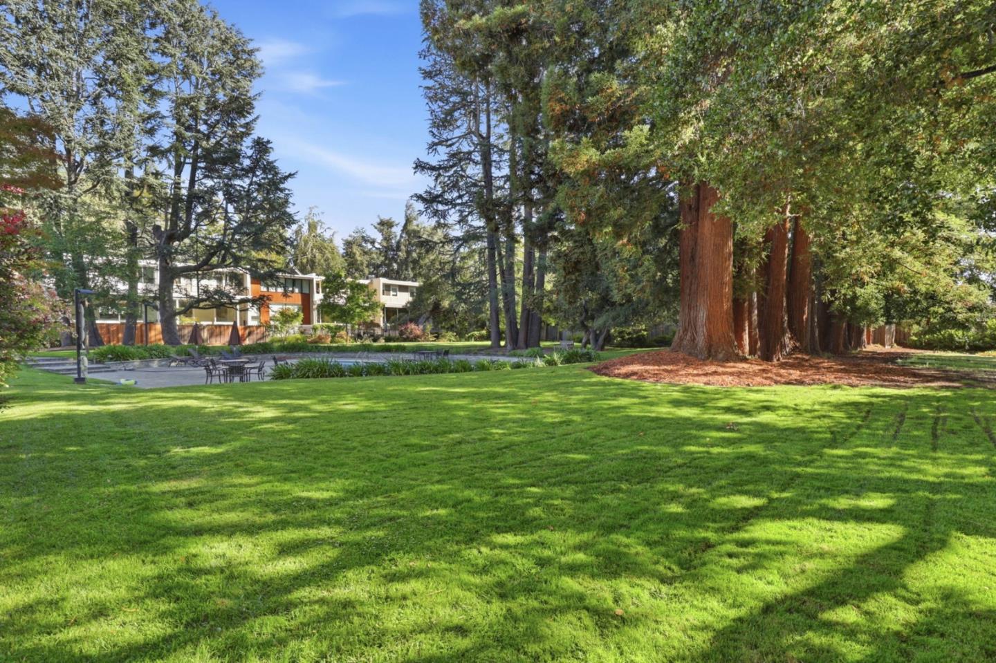161 Stone Pine LN