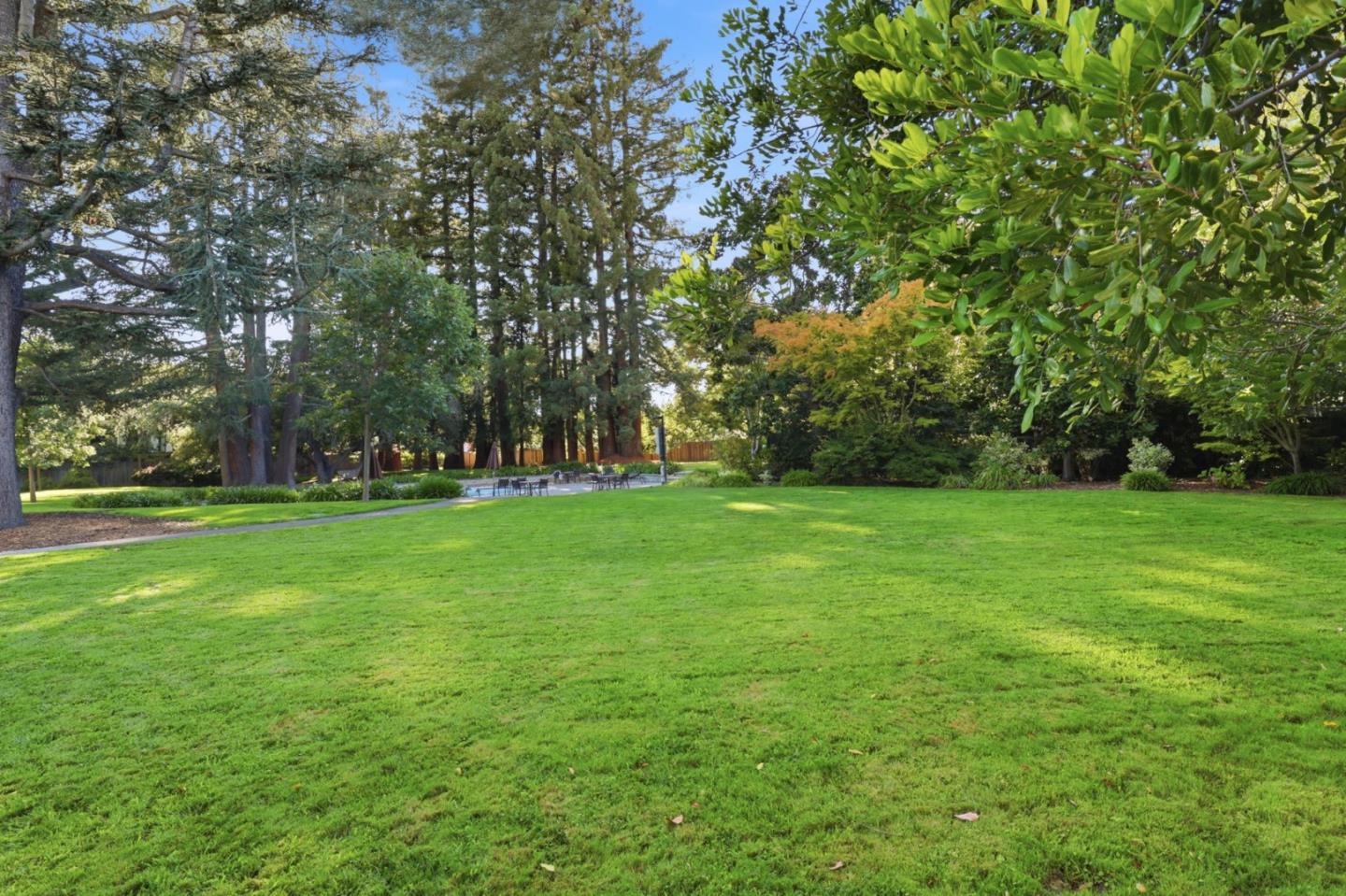 161 Stone Pine LN