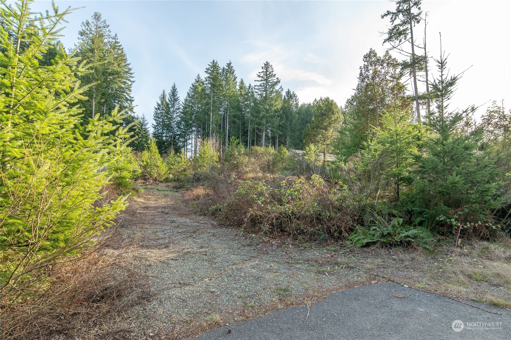 13899 Carney Lake Road SW