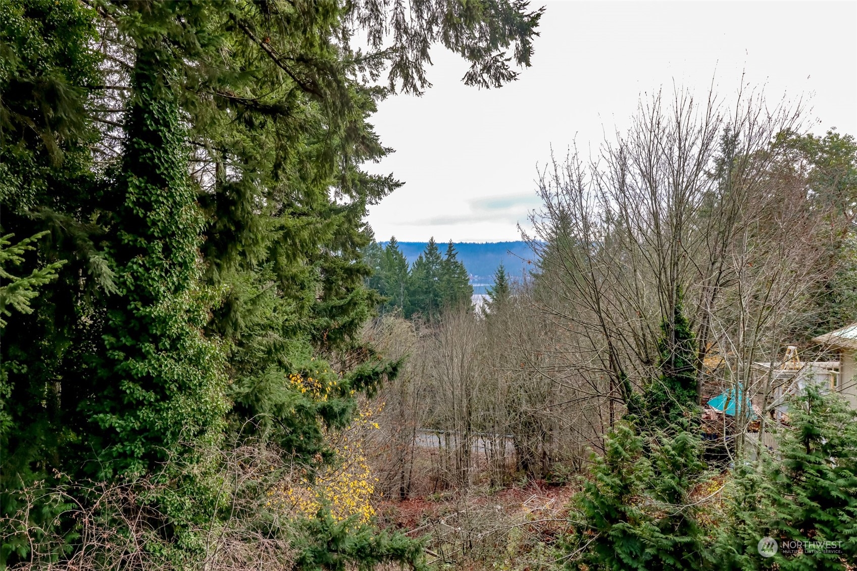 111 NE Rainier Place S