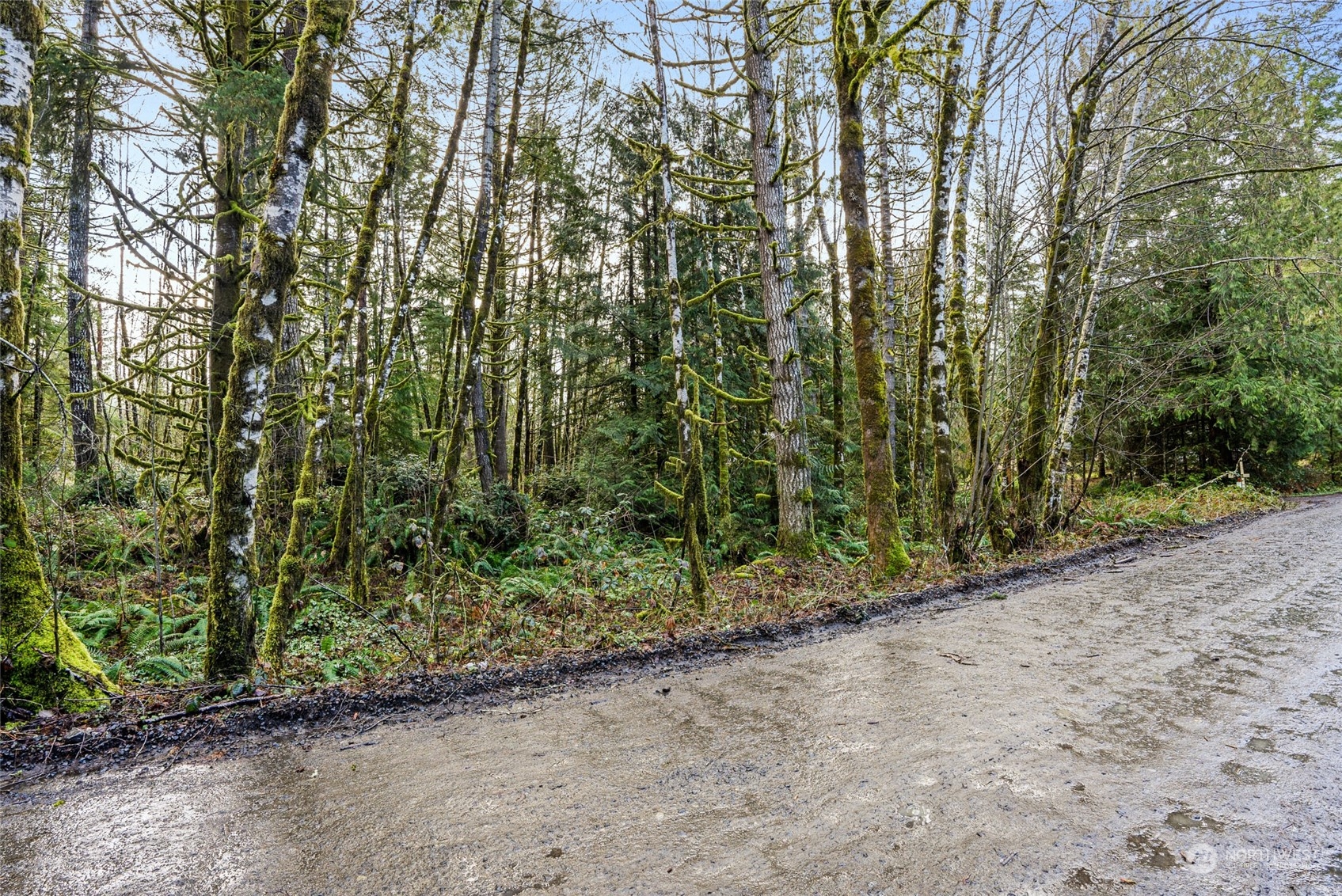 427 Rivendell Road
