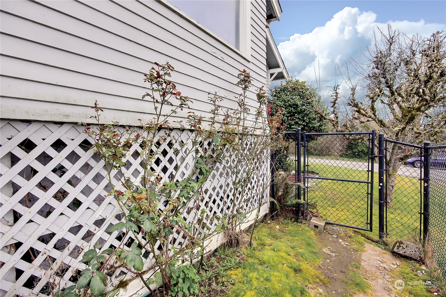 311 Steilacoom Street