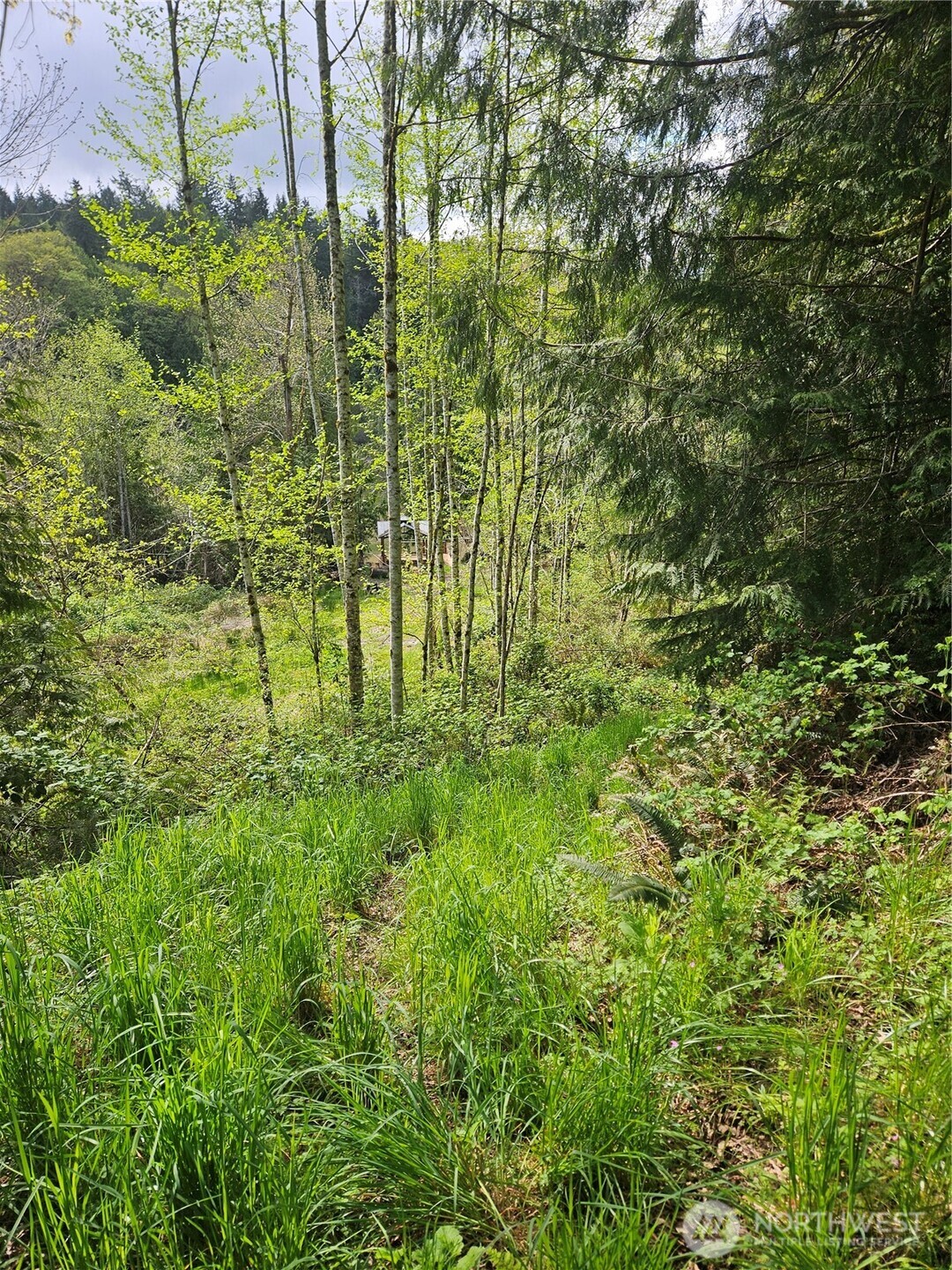 0 Crescent Beach Road SW