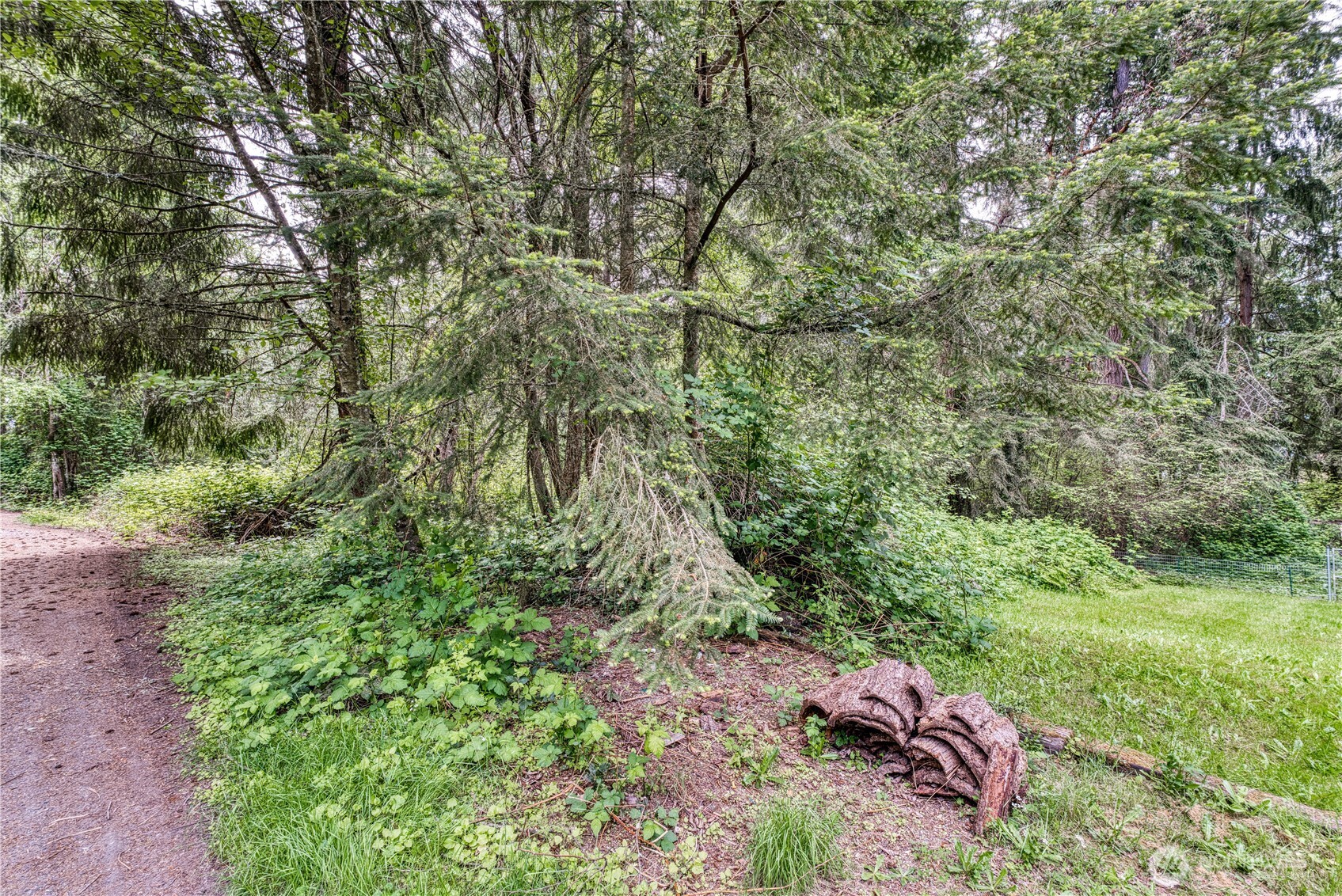 3214 77th Avenue NW