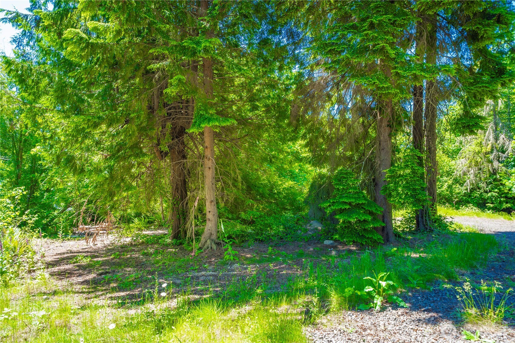 13514 79th Avenue Ct NW