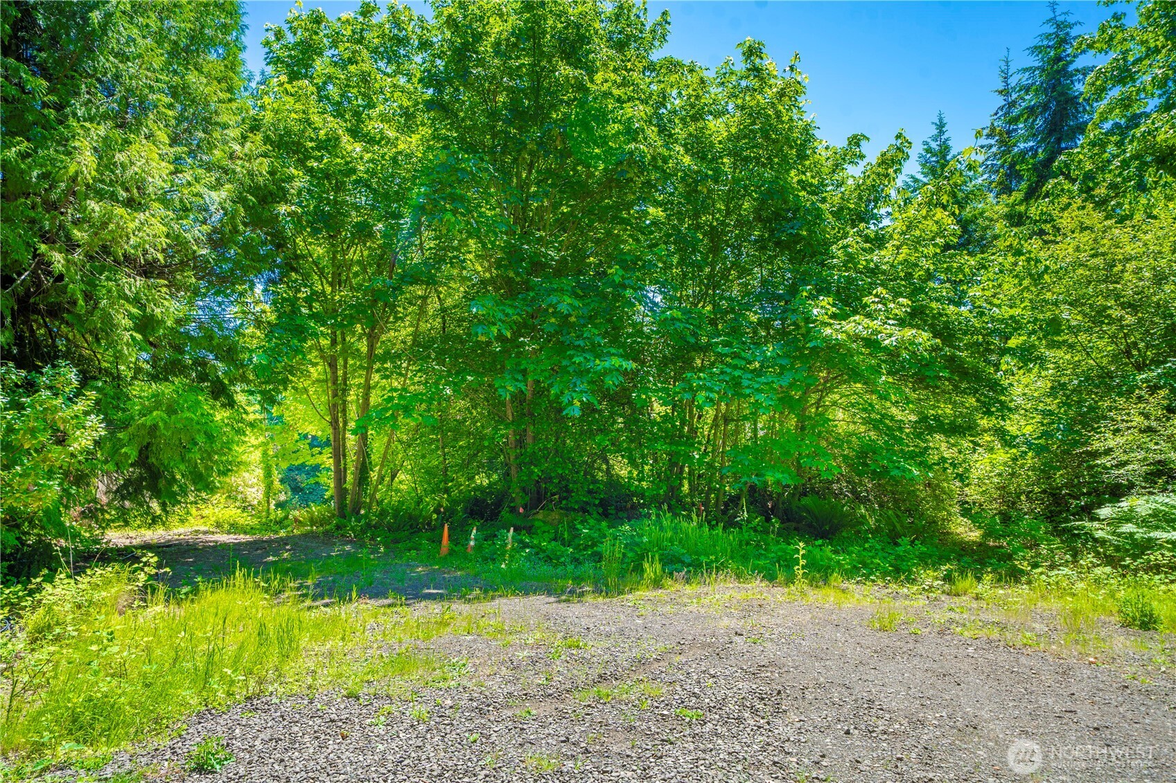 13514 79th Avenue Ct NW