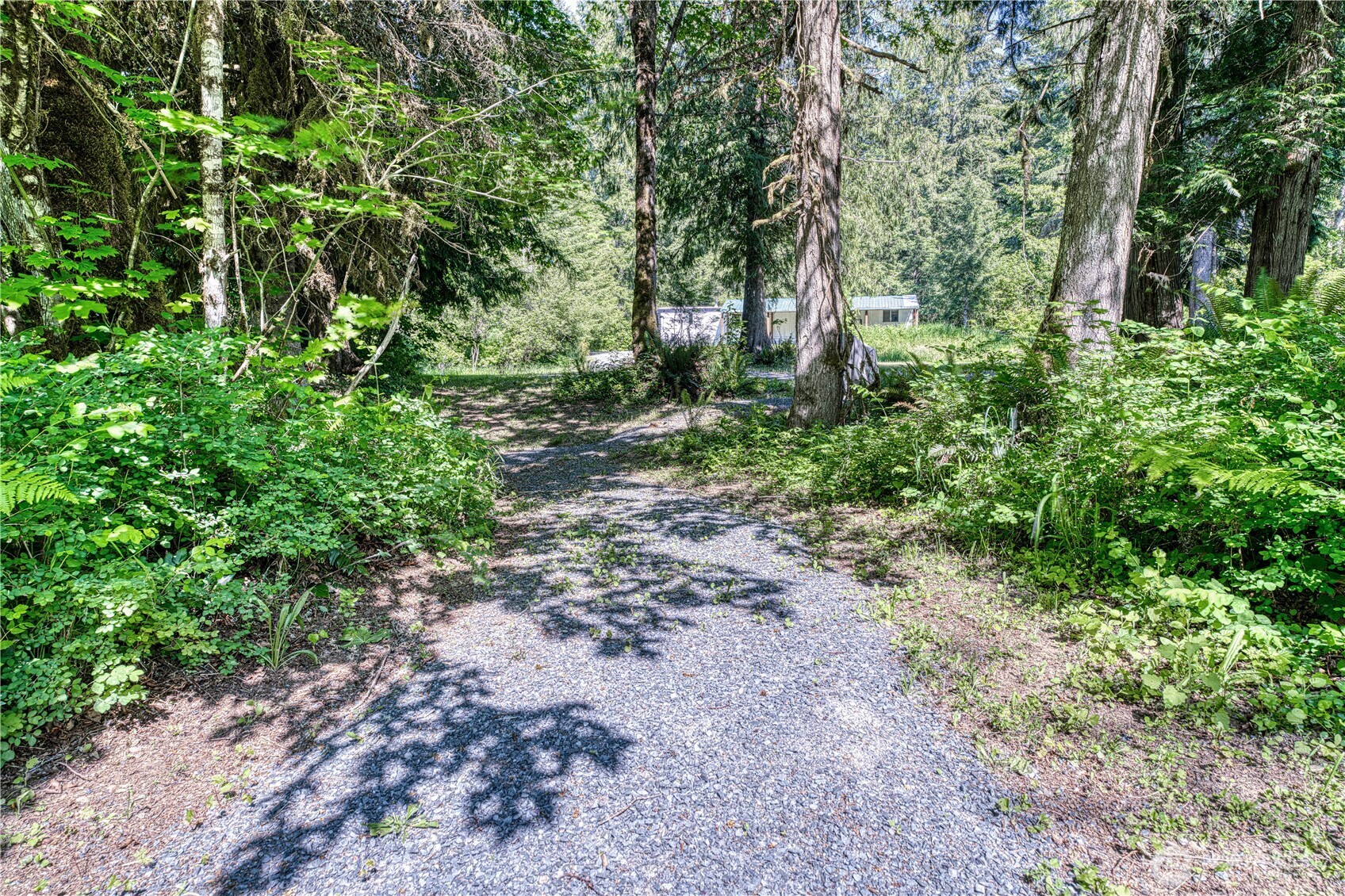 429 Mineral Creek Road