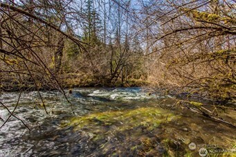 270 Skate Creek Road N