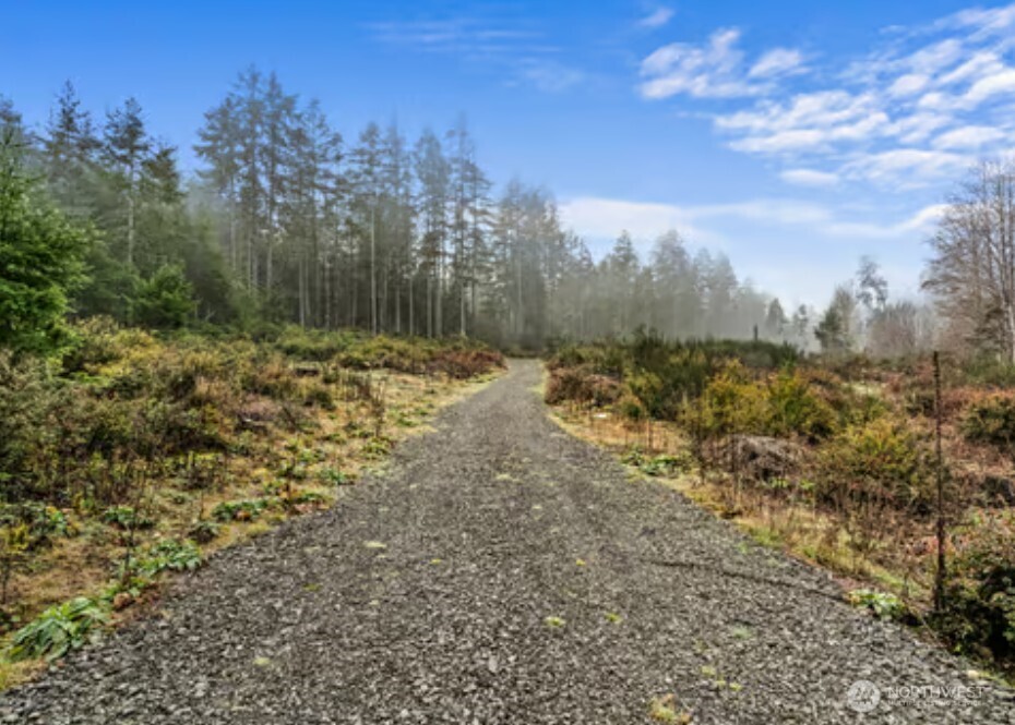 2561 E Harstine Island Road N