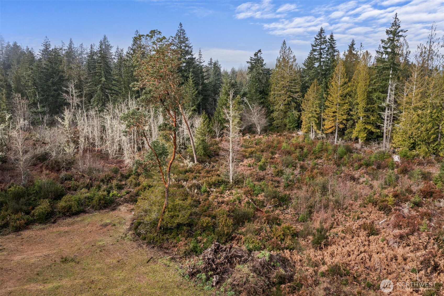 2561 E Harstine Island Road N