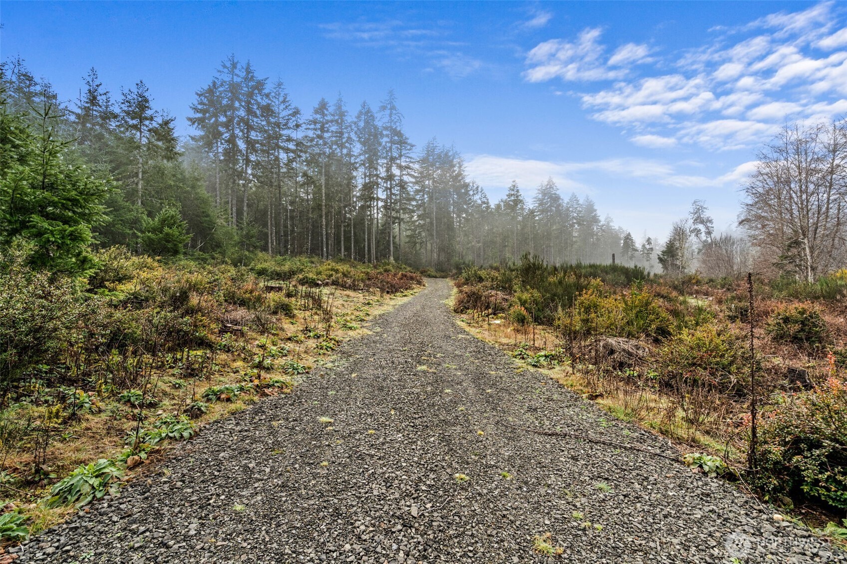 2561 E Harstine Island Road N