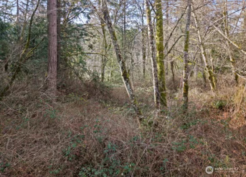 0 Olalla Valley Road SE