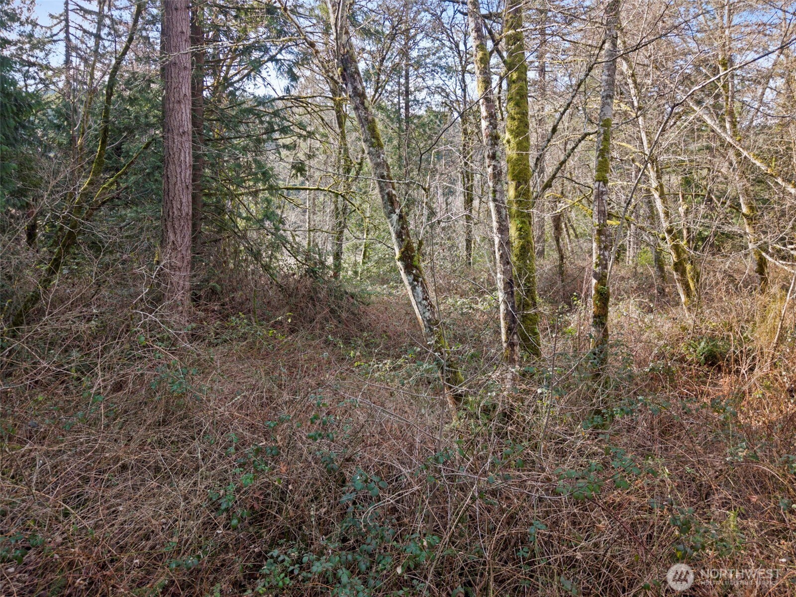0 Olalla Valley Road SE