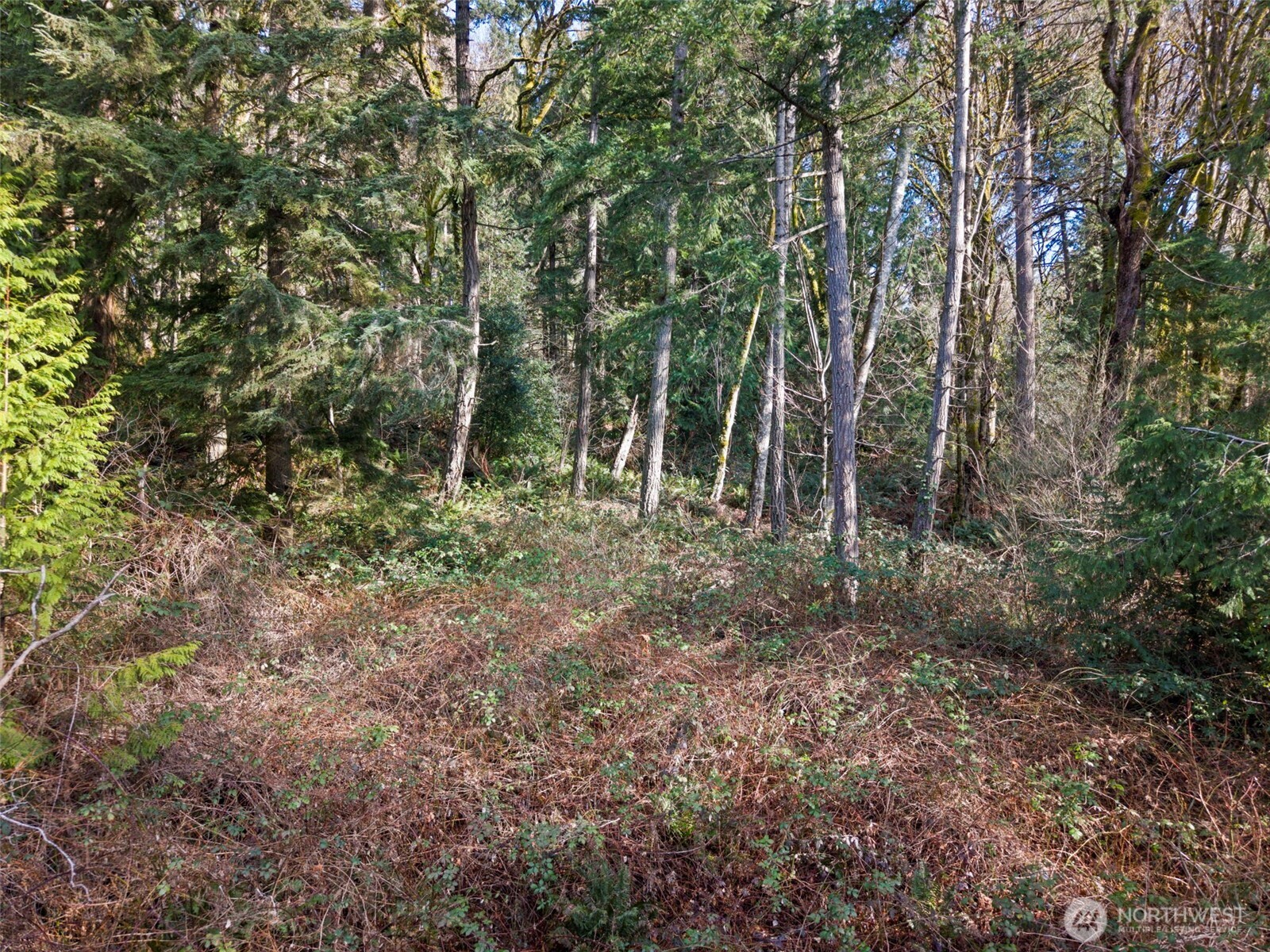 0 Olalla Valley Road SE