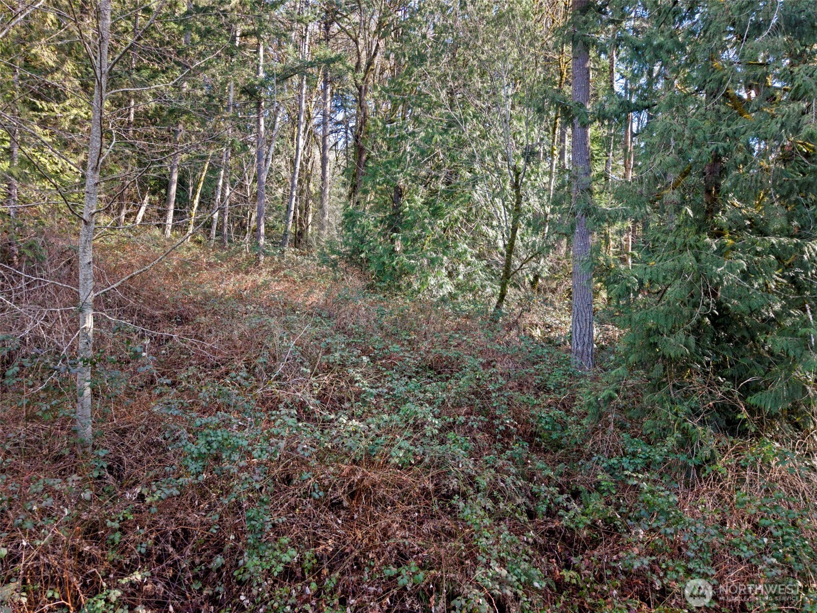 0 Olalla Valley Road SE