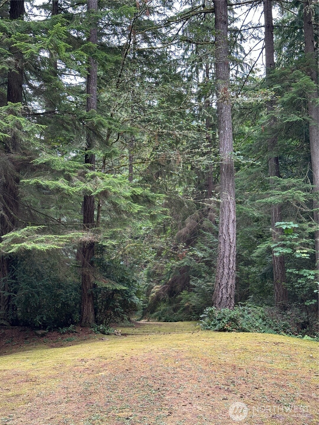 3649 Long Lake Road SE