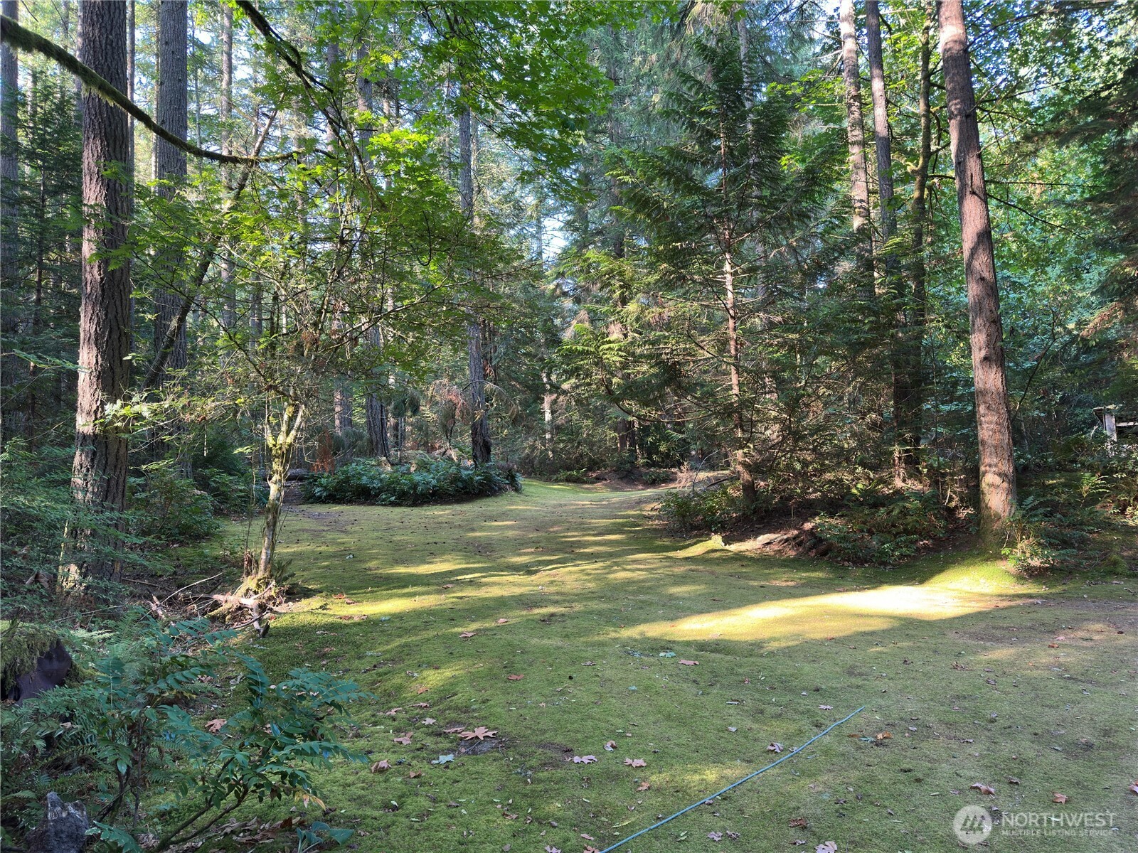 3649 Long Lake Road SE