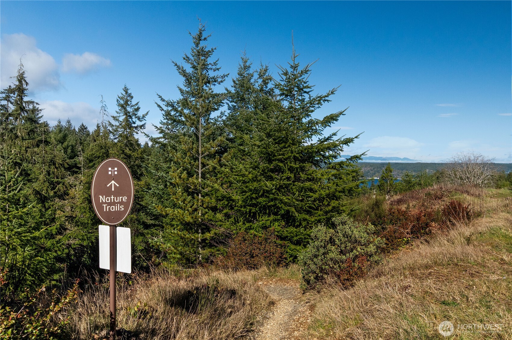 1031 E Manzanita Drive