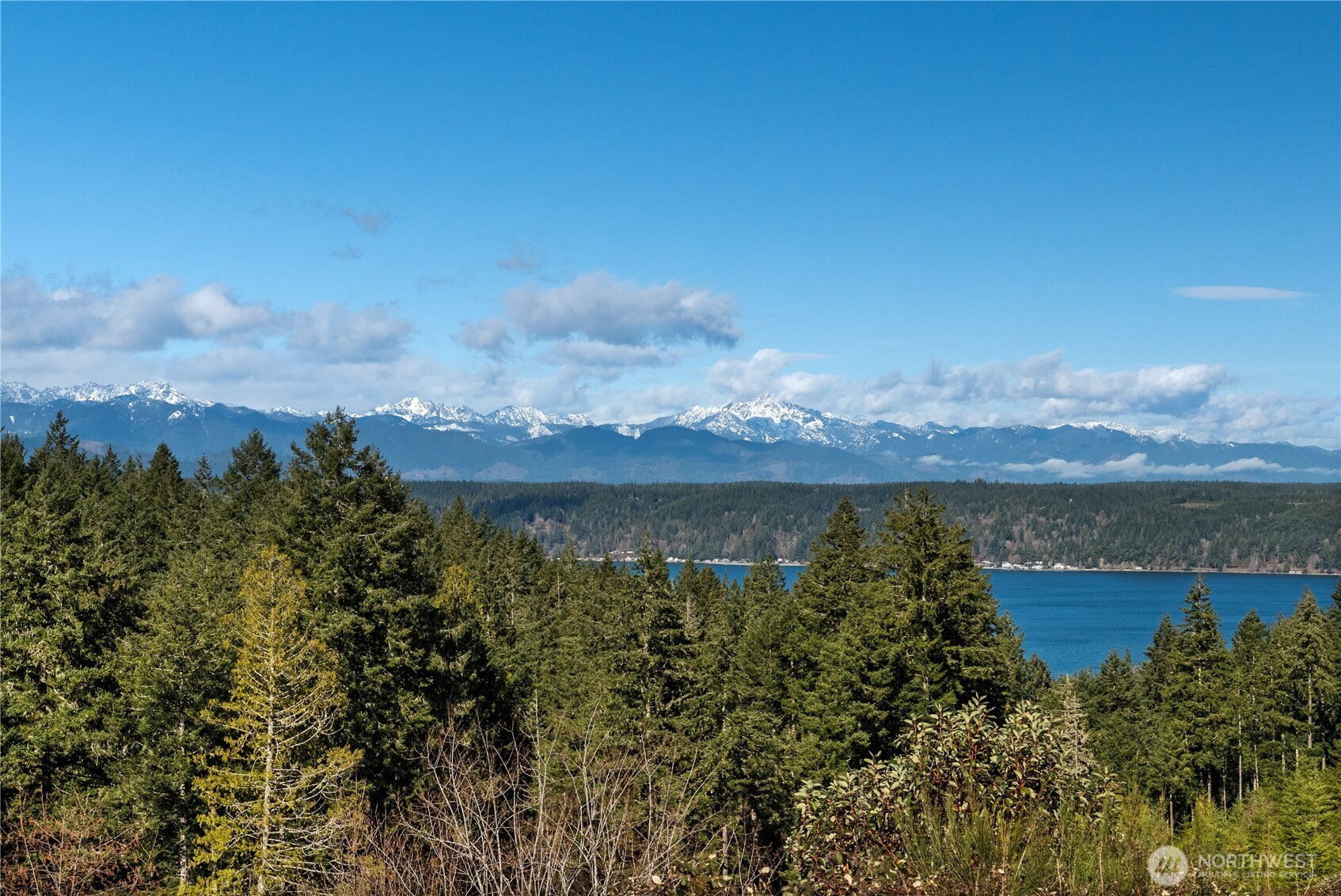 1031 E Manzanita Drive