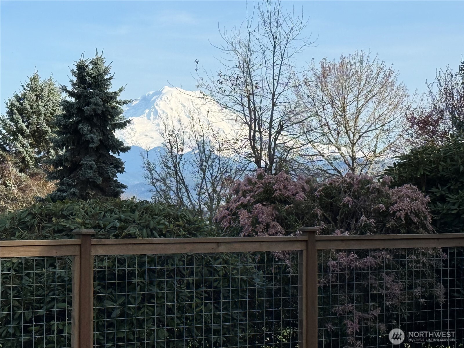 14423 134th Avenue E