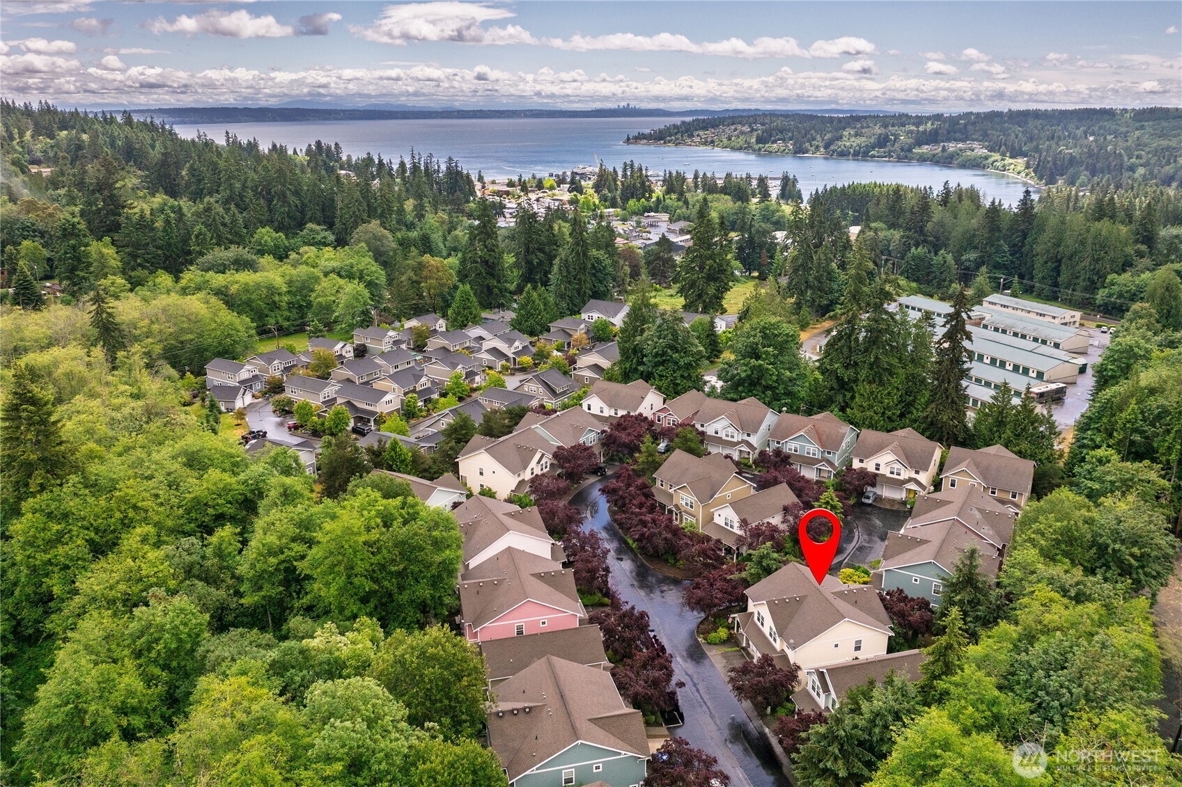 Aerial neighborhood of homes among trees, with a red marker and coastal water beyond.