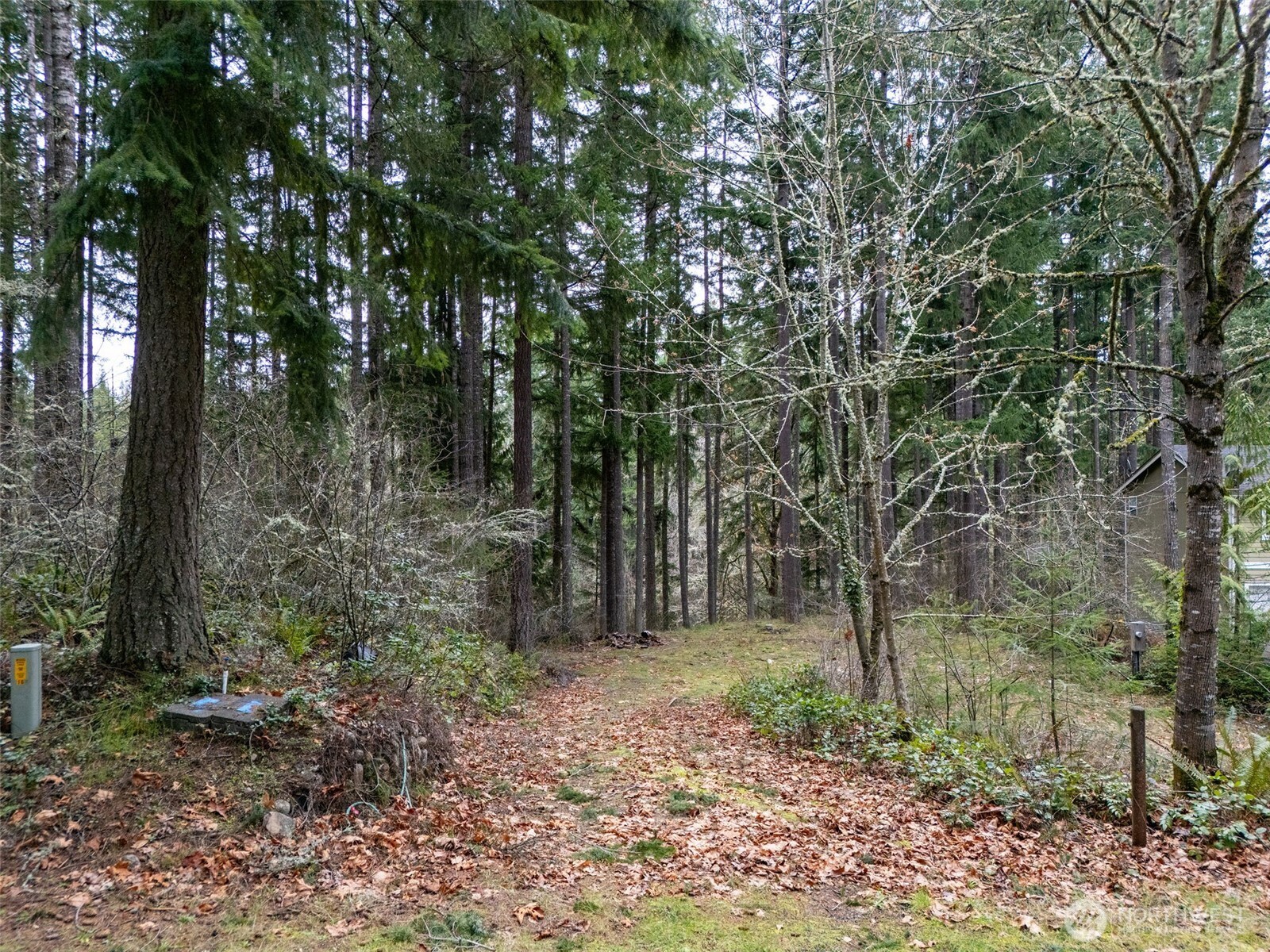 18214 Big Fir Court SE