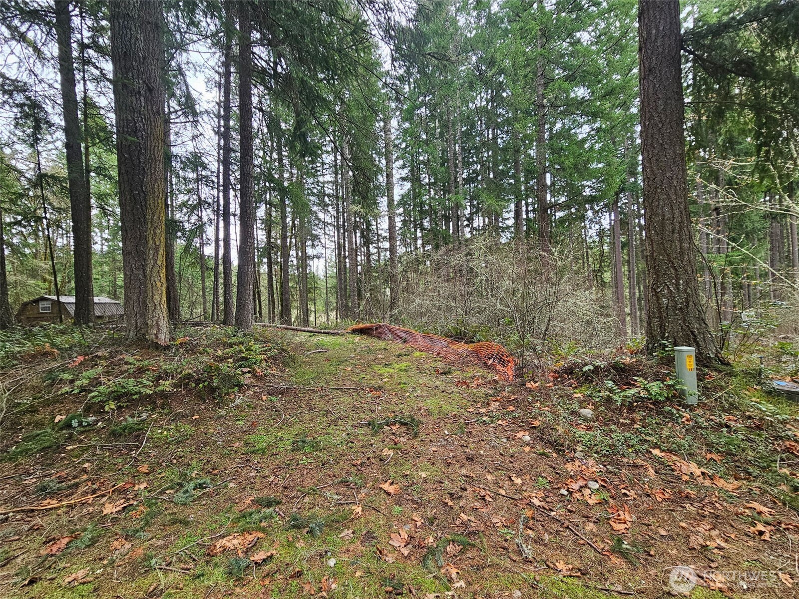 18214 Big Fir Court SE