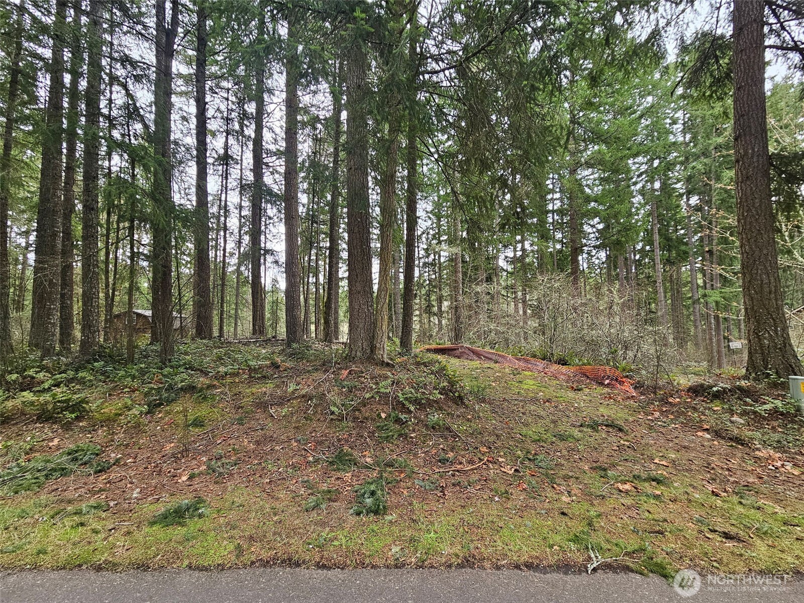 18214 Big Fir Court SE