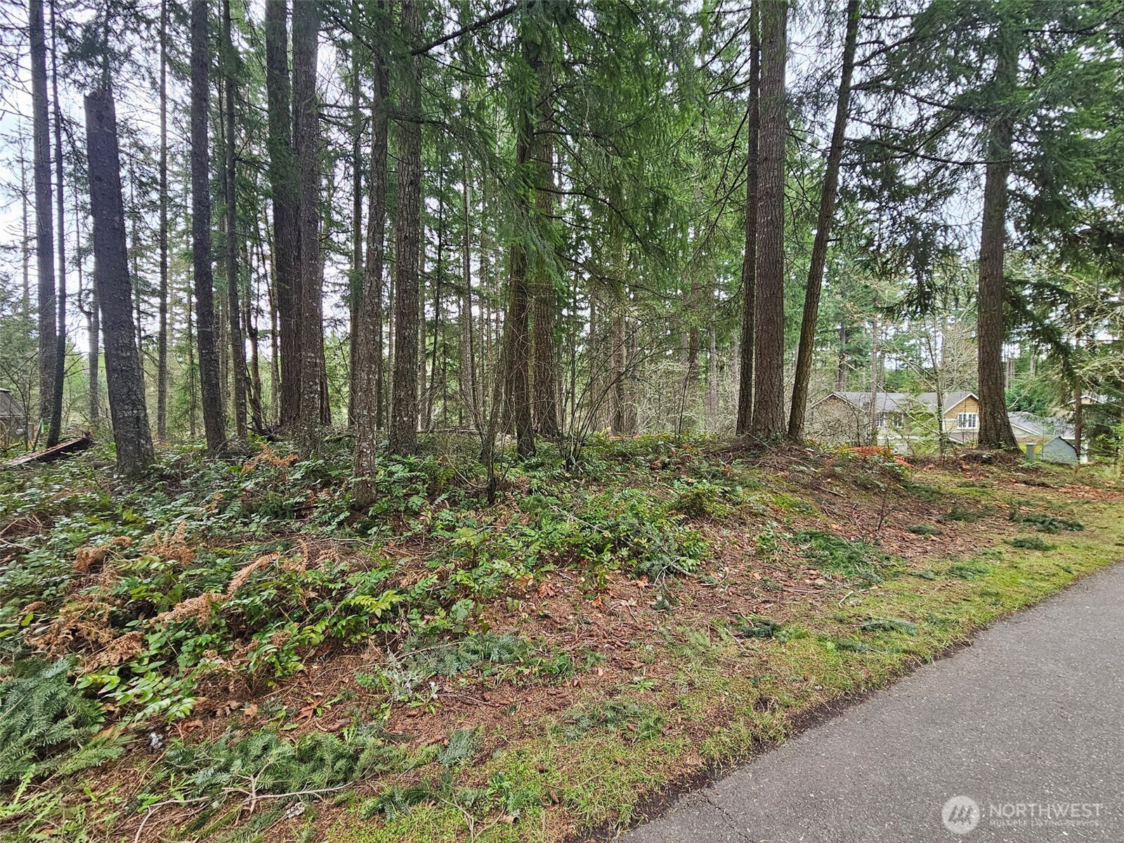 18214 Big Fir Court SE