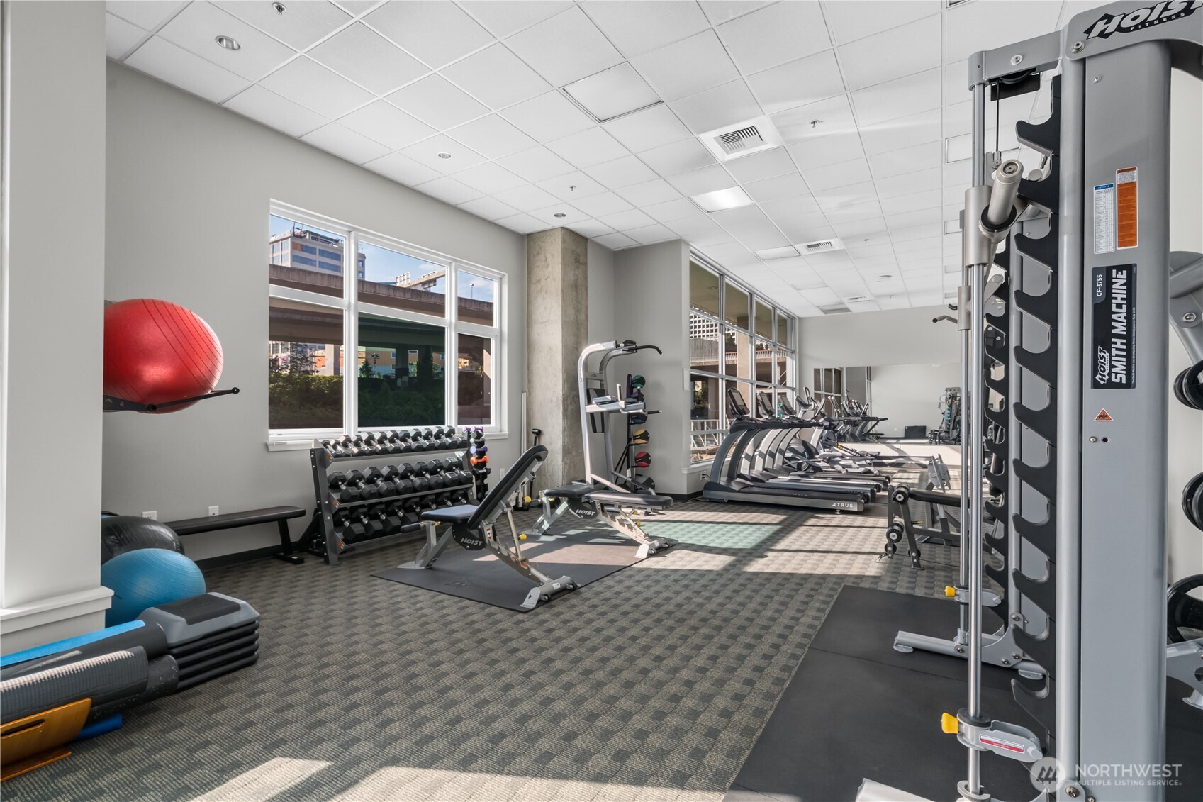 1515 Dock Street Unit: 706