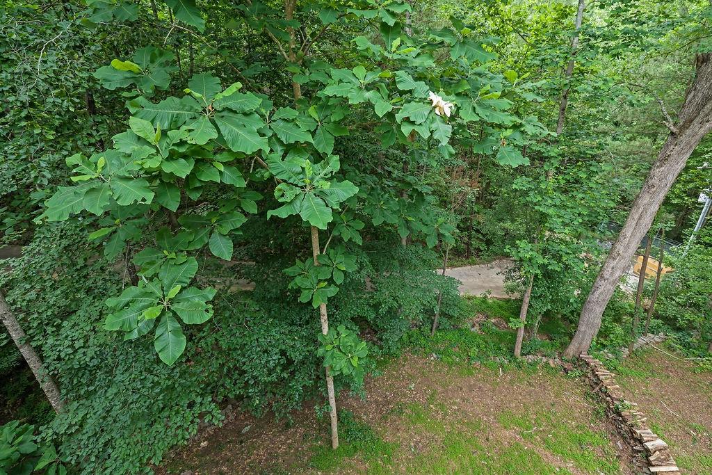 402 Wood Chase Lane