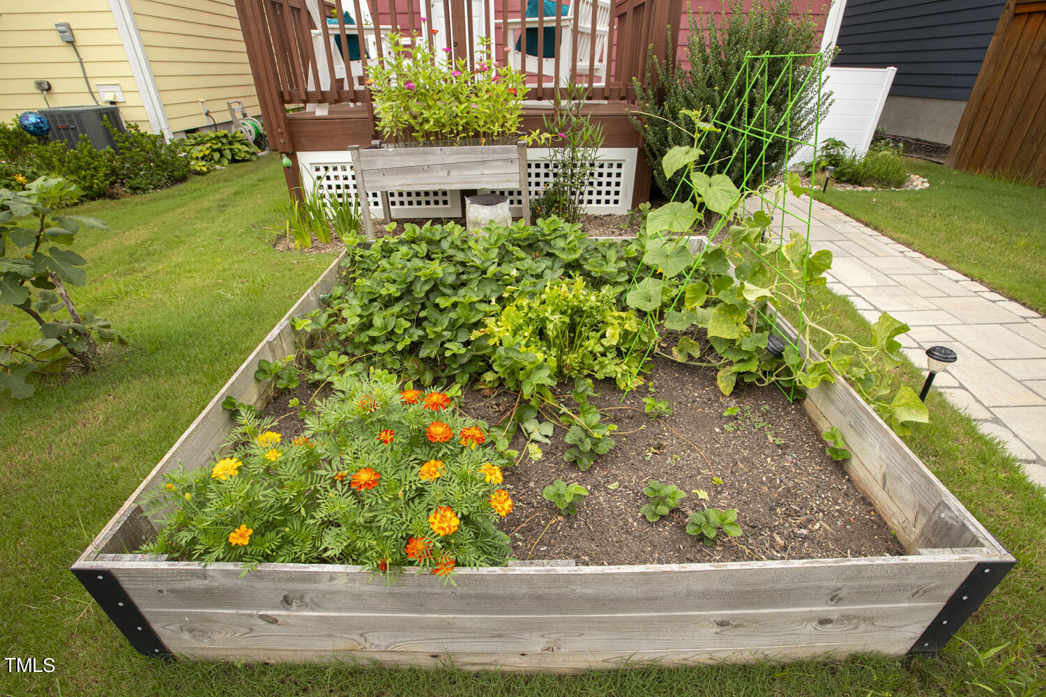 1436 Big Falls Drive