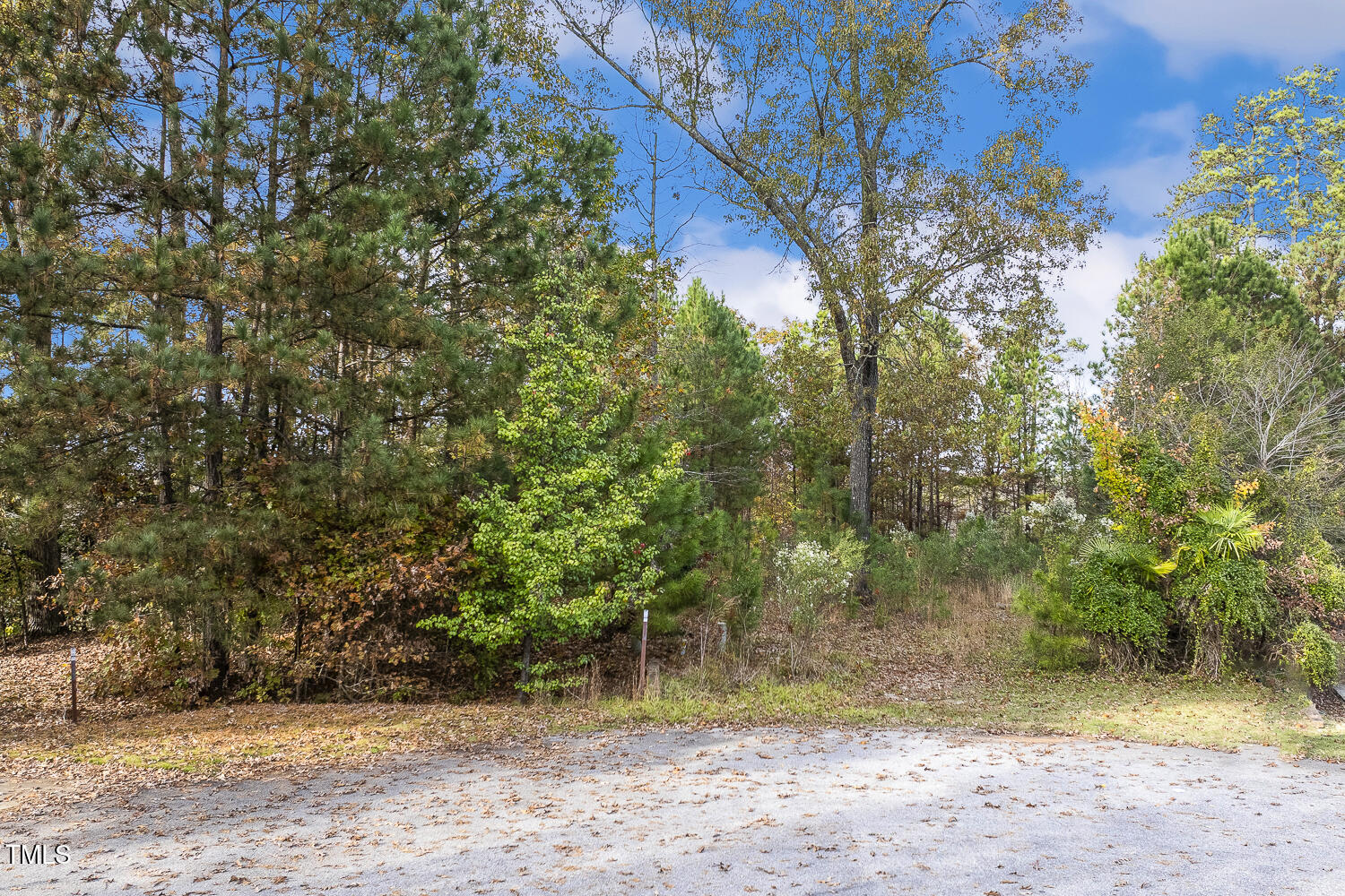 5205 Crooked Bluff Lane