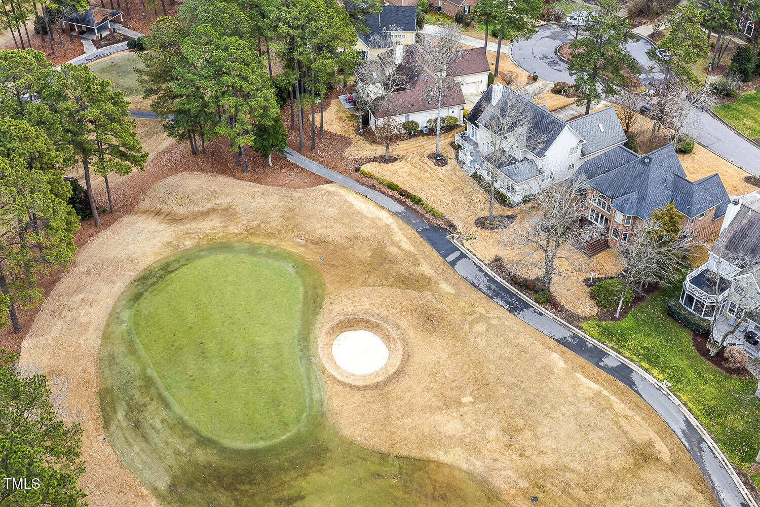 217 Old Pros Way