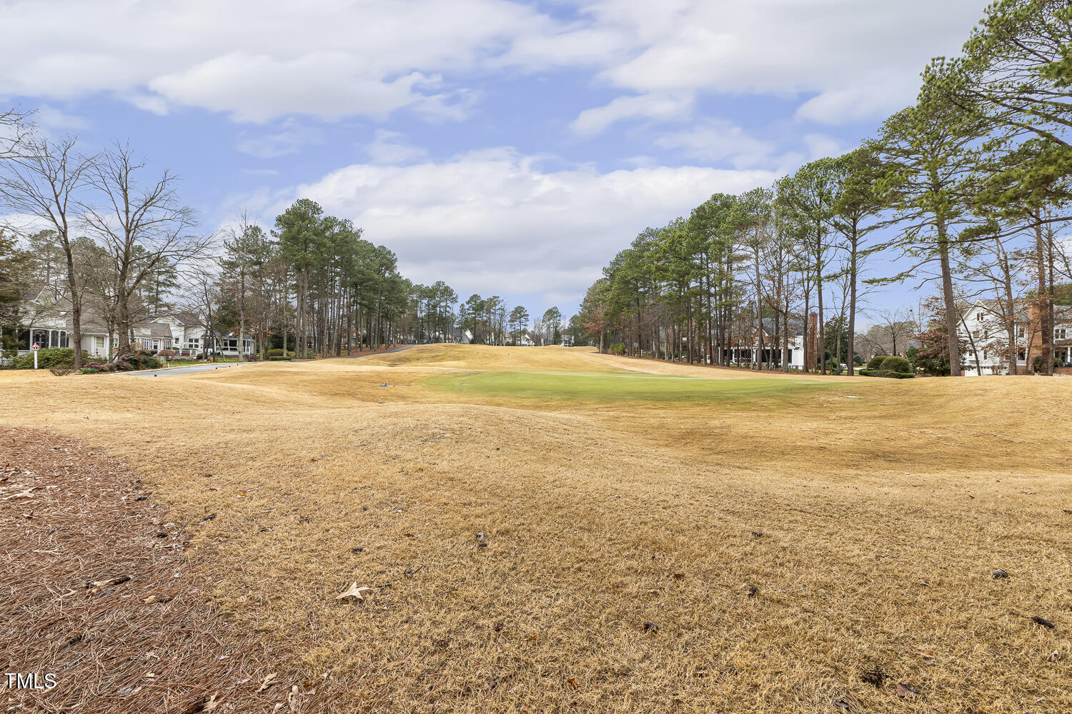217 Old Pros Way