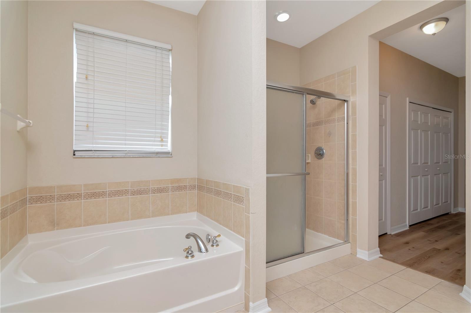 11333 BRIDGE PINE DR