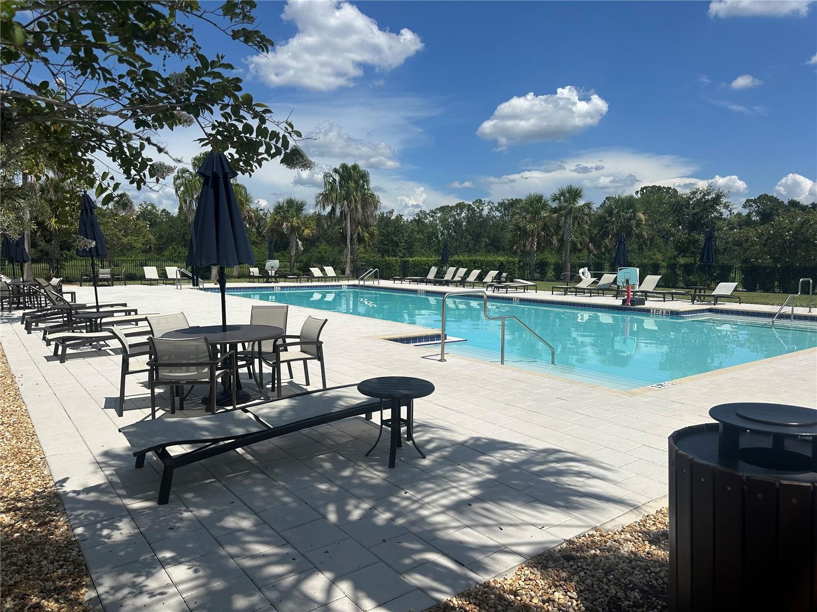 13422 SAW PALM CREEK TRL