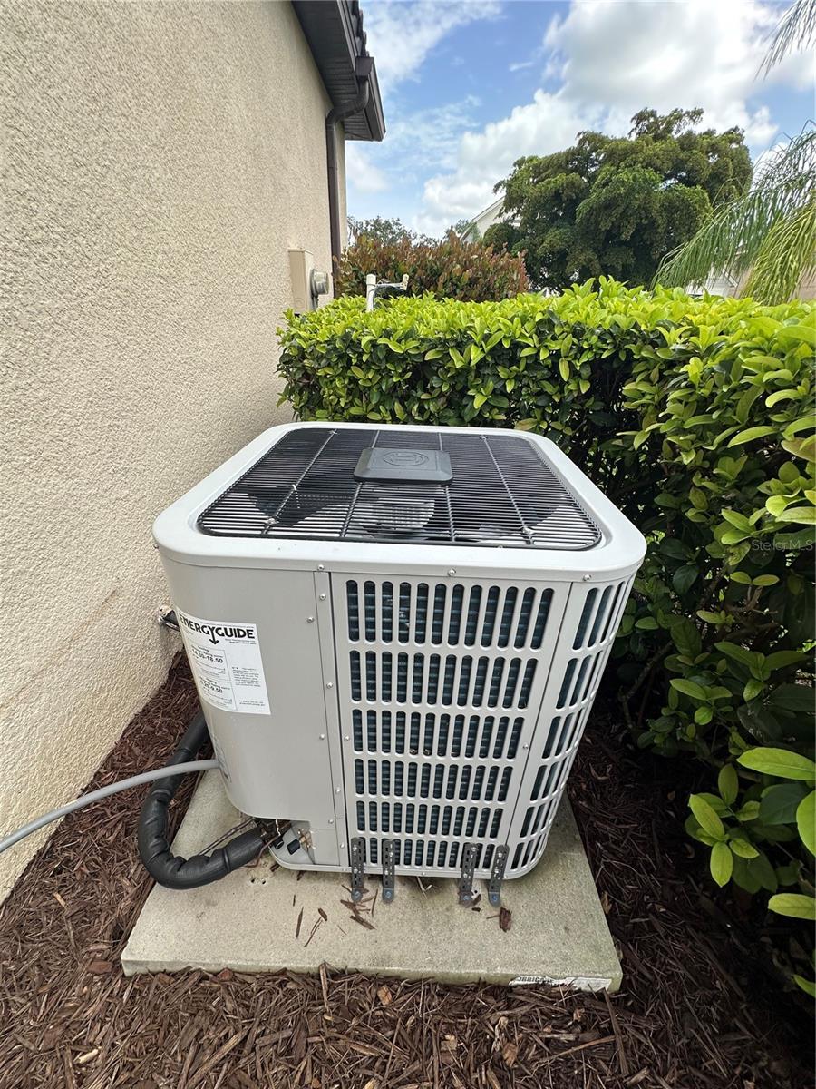 13422 SAW PALM CREEK TRL